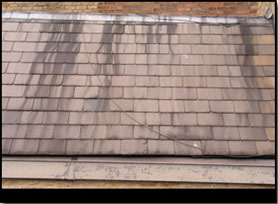 roof-black-streaks